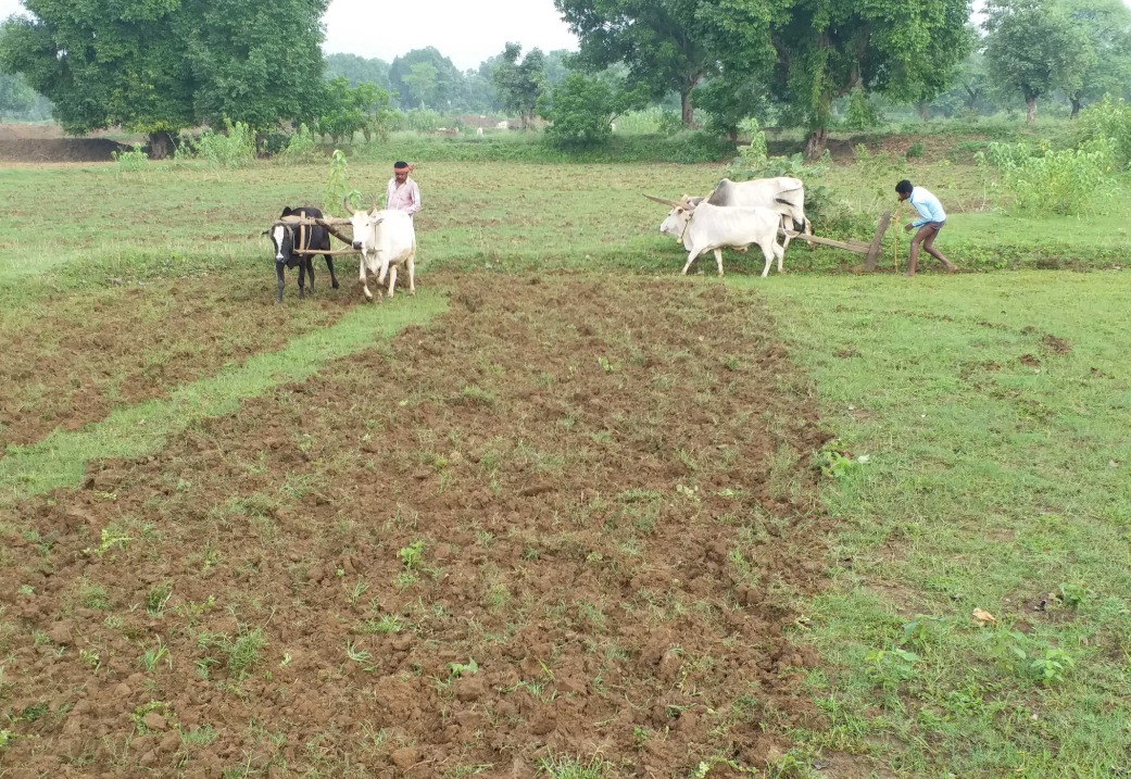 krishi yatra