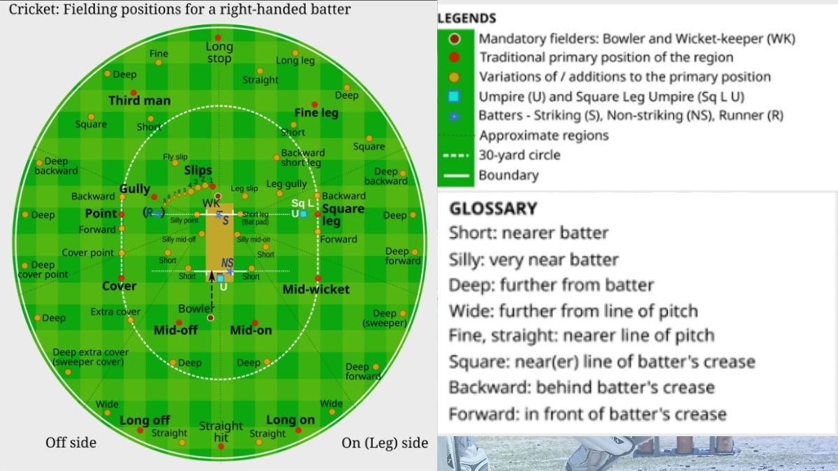 cricket field position
