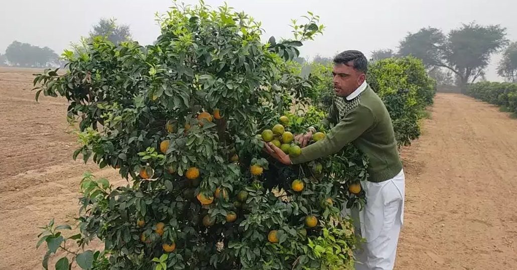 KINNU e1744077720997
