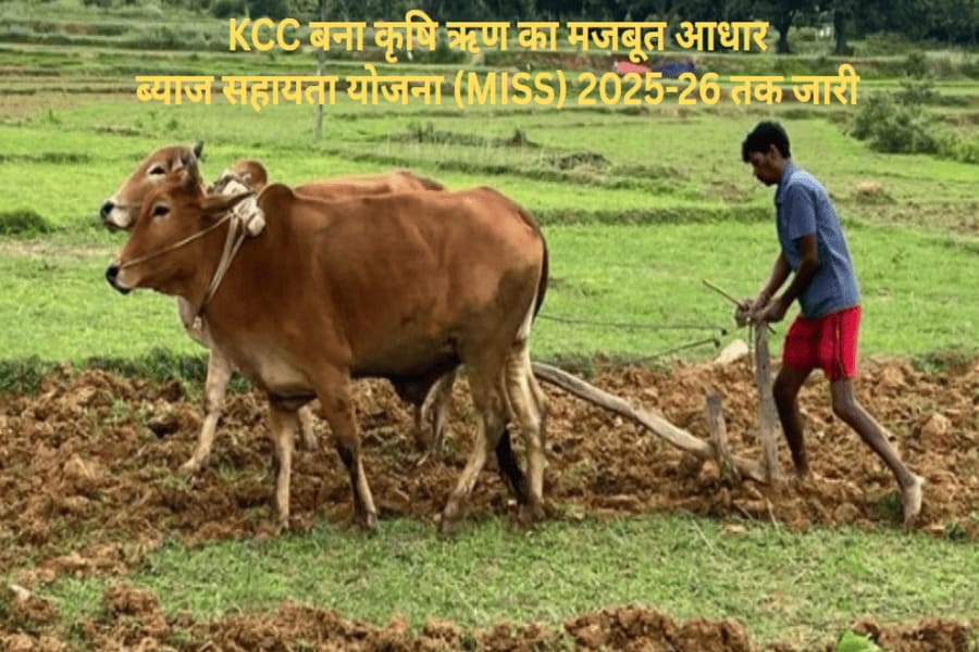 k kcc