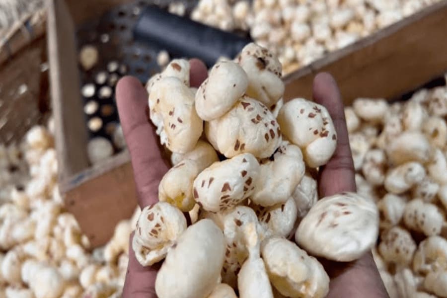 makhana