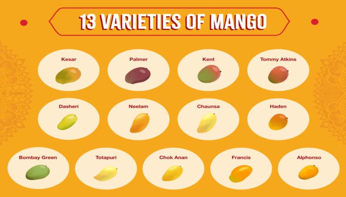 mango varieties