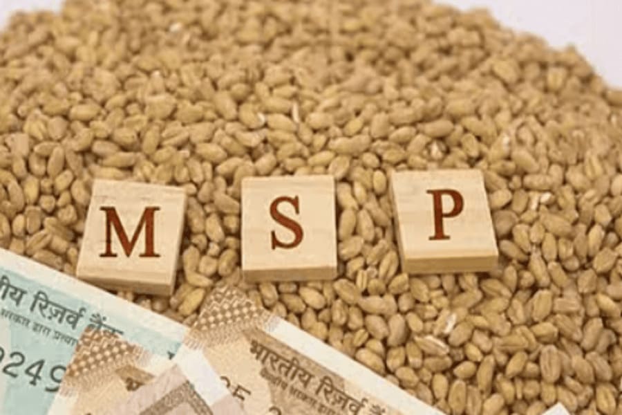 msp