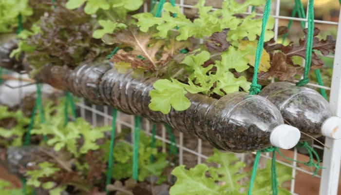 krishi plastic