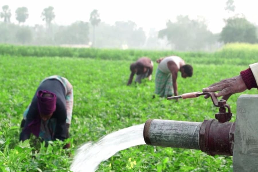 pani kisan
