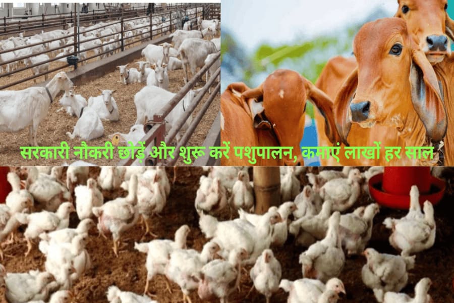 प्रधानमंत्री कृषि सिंचाई योजना 1