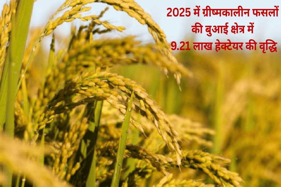 प्रधानमंत्री कृषि सिंचाई योजना