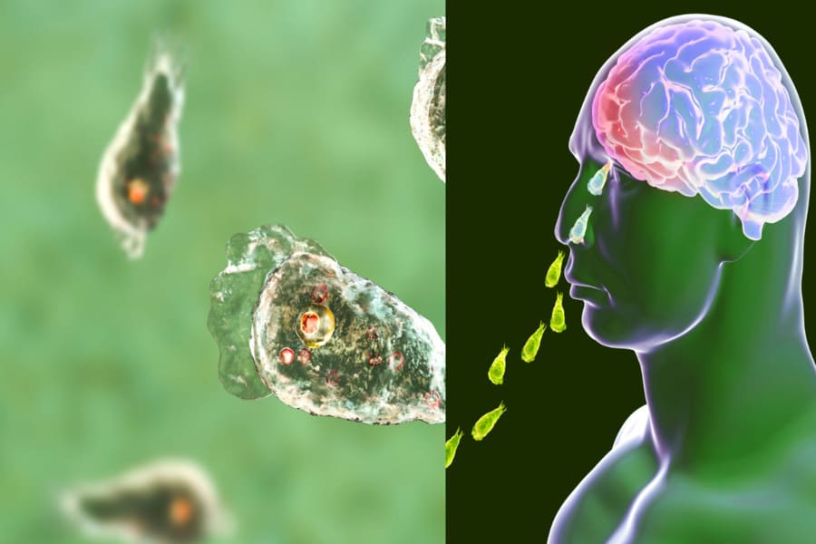 shri ganesha thumbhnail