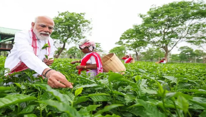 pm modi wada abhinav radhe radhe